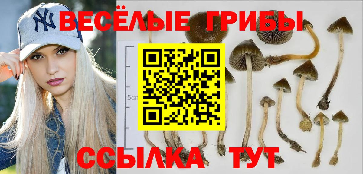 Псилоцибиновые грибы MAGIC MUSHROOMS Нижневартовск