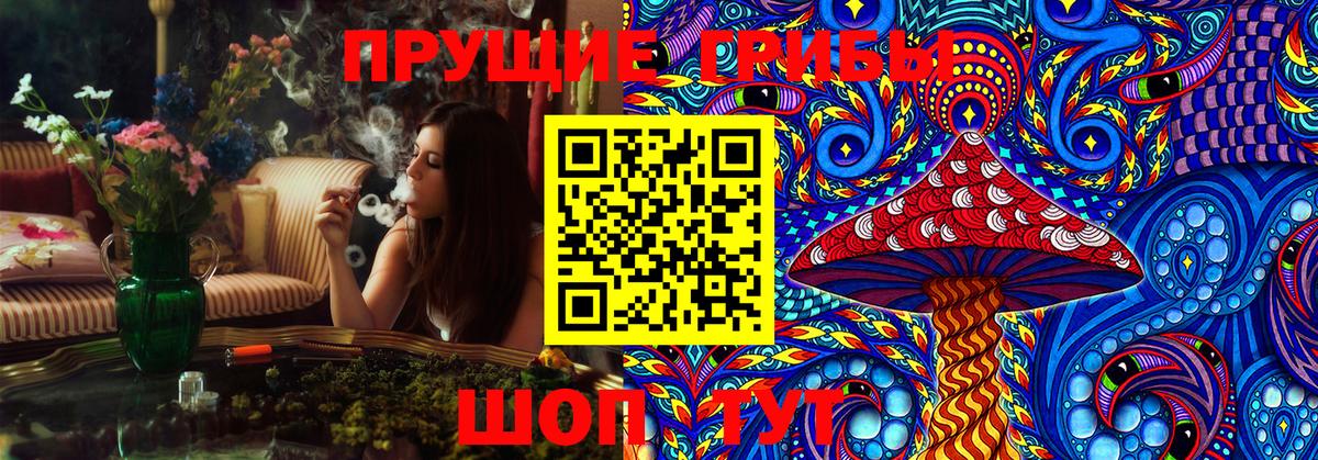 Псилоцибиновые грибы Psilocybe  Вход с VPN  Нижневартовск  купить закладку  Псилоцибиновые грибы ЛСД 